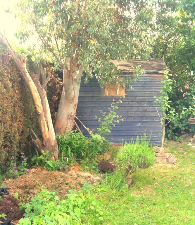 Almond House B&B Εδιμβούργο Εξωτερικό φωτογραφία